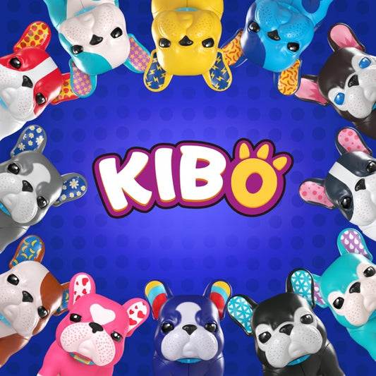Kibo New Zealand
